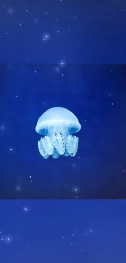 A serene jellyfish floating in a deep blue ocean background wallpaper.