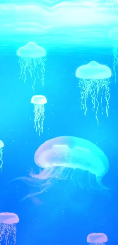 Mobile wallpaper of a jellyfish in ocean blue water.