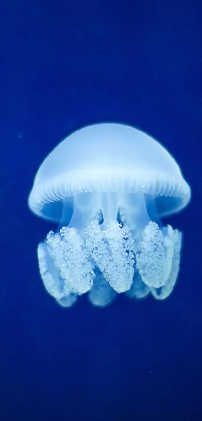 A glowing jellyfish swims in deep blue ocean.