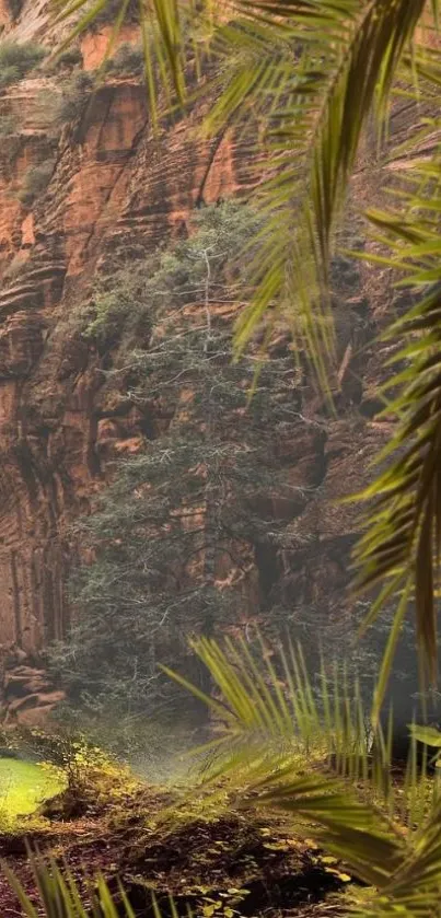 Lush jungle cliff with green foliage and serene atmosphere.