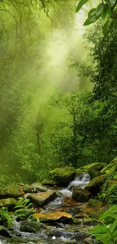 Serene jungle stream with lush greenery and sunlight filtering through trees.