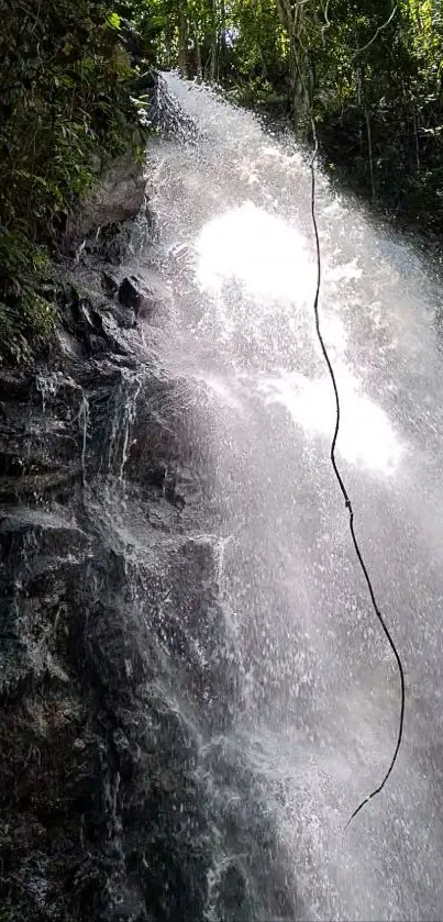 Serene waterfall cascading in lush jungle with vibrant greenery.