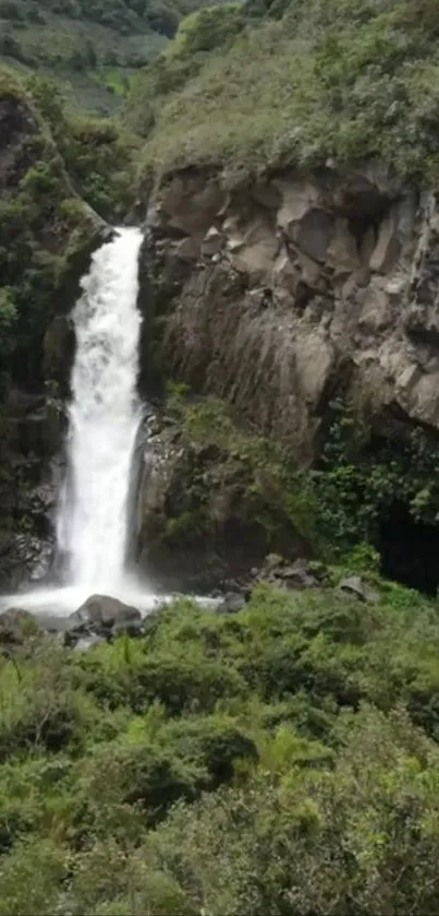 Mobile wallpaper of a serene jungle waterfall scene.