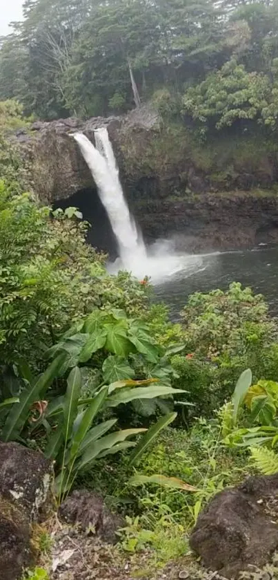 Beautiful jungle waterfall with lush greenery all around.