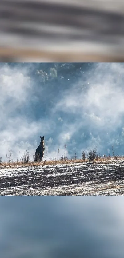 Kangaroo standing in a misty field, creating a serene natural scene.