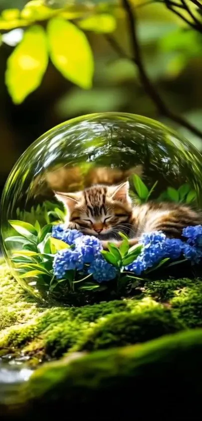 Kitten sleeping in glass globe on moss with blue flowers.