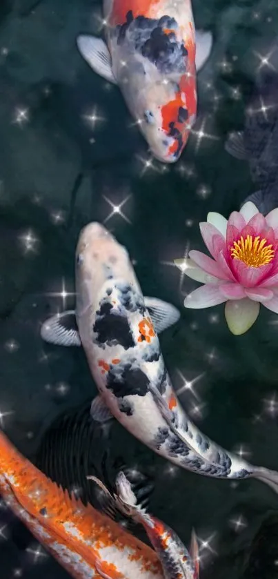 Koi fish swimming in a pond with a pink lotus flower.