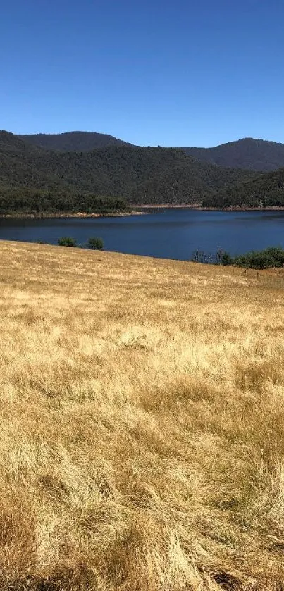 Golden fields and serene lake under blue sky with mountains.