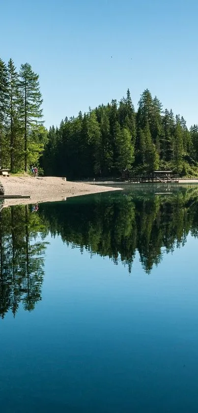 Serene lake with forest reflection under a clear blue sky.