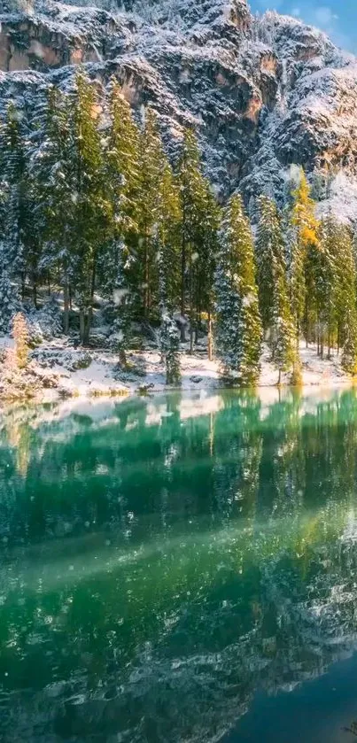 Serene forest lake with snow-covered trees reflecting in crystal-clear waters.