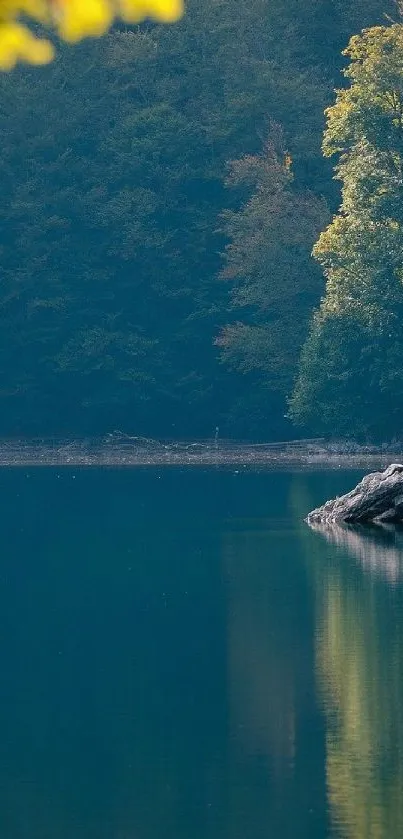 Serene lake and forest mobile wallpaper.