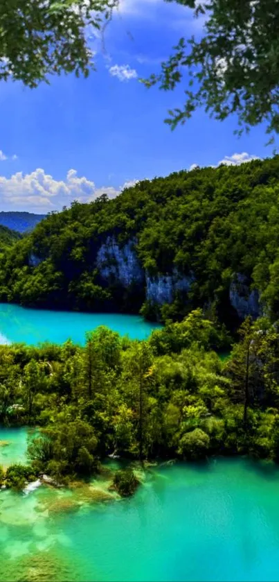 Tranquil lake and forest with vibrant turquoise water and lush greenery.