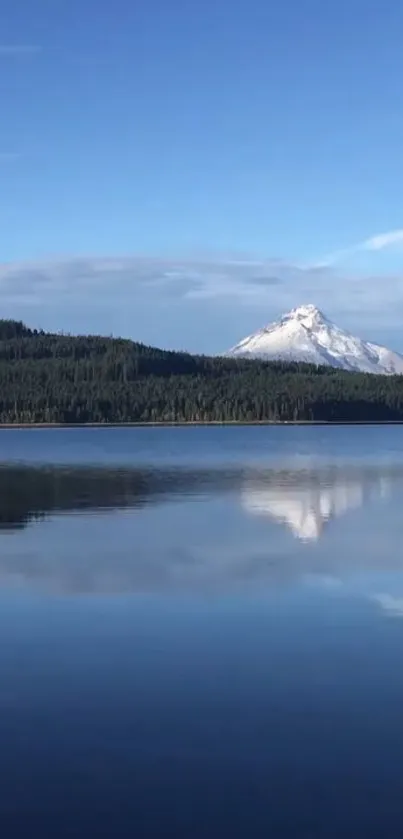 Peaceful lake with snowy mountain under a blue sky.