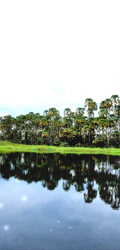 Serene lake with trees reflecting under a cloudy sky.