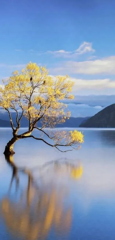 Peaceful lone tree reflected in a tranquil lake against a blue sky.