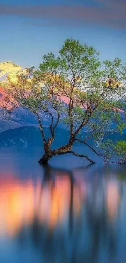 Serene landscape wallpaper with tree and lake reflection at sunrise.