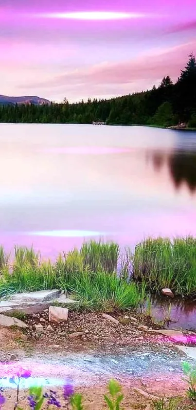 Beautiful sunset over a serene lake with lush greenery.