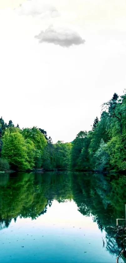 Serene forest and lake wallpaper with reflections.