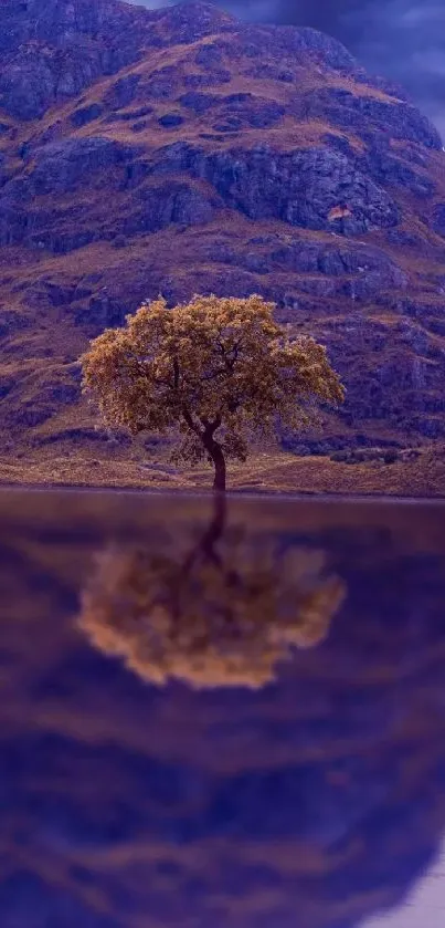 Mobile wallpaper of a tree reflecting in a lake with a purple mountain backdrop.