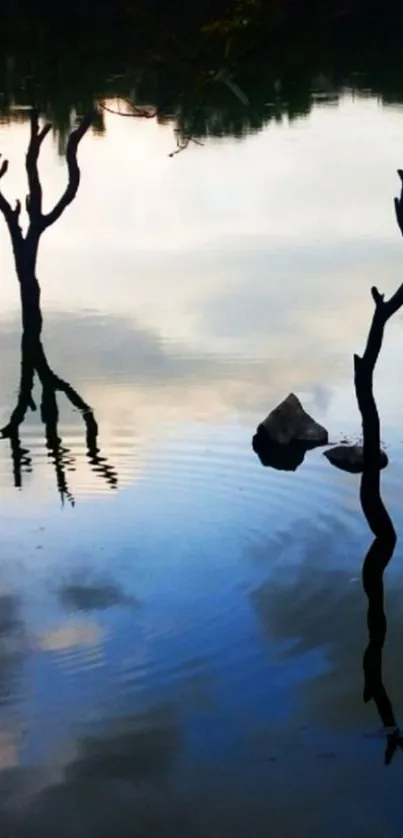 Serene lake with branches and rippling water reflection.