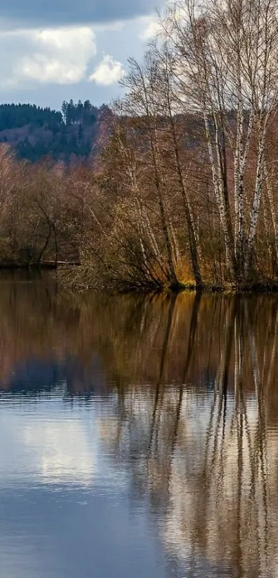 Serene lake with trees reflecting on calm water, under a cloudy sky.