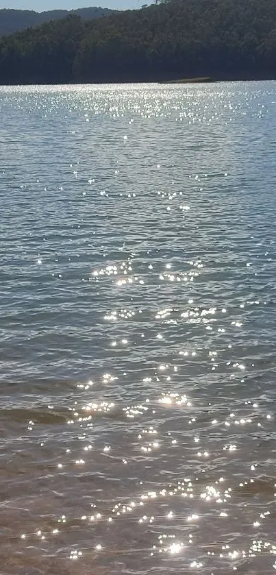 Sparkling blue lake with sunlight reflecting off the water surface.