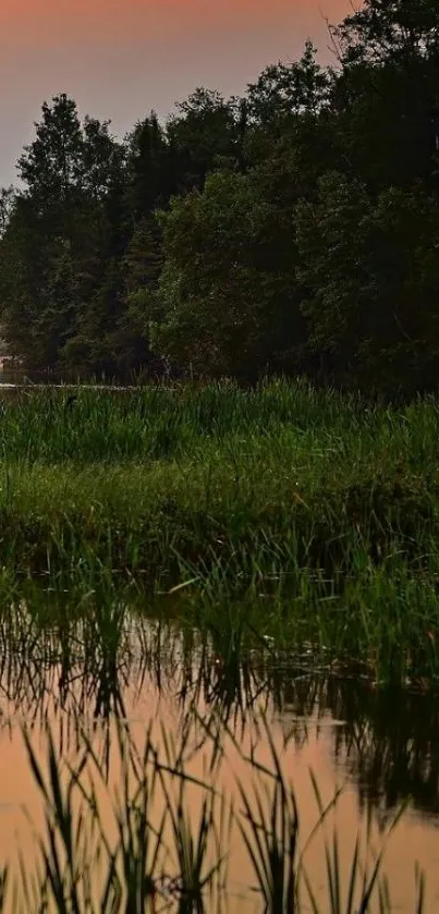 Serene sunset over a lush green lake.