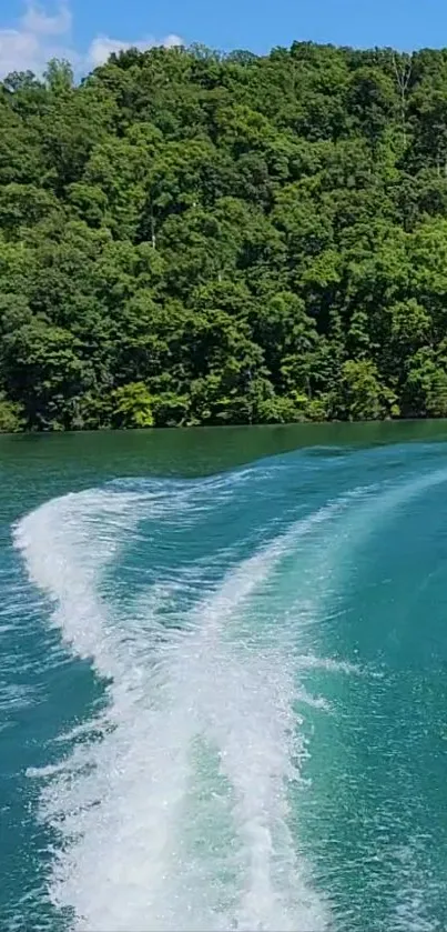 Tranquil lake with vibrant forest and boat wake trail.