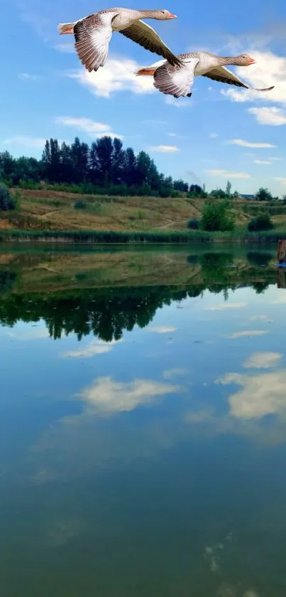 Geese flying over a serene lake with calm reflections.