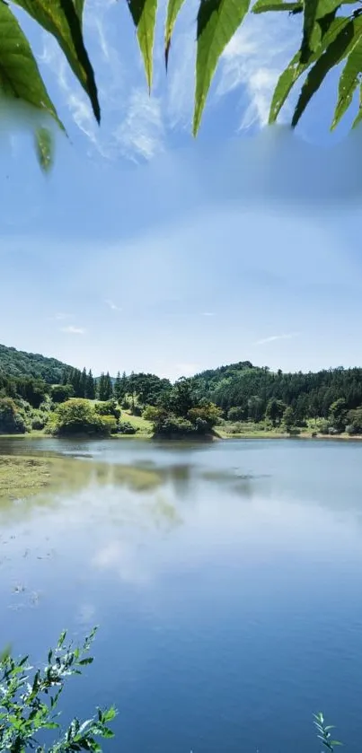 Tranquil lake scene with green leaves and a clear blue sky.