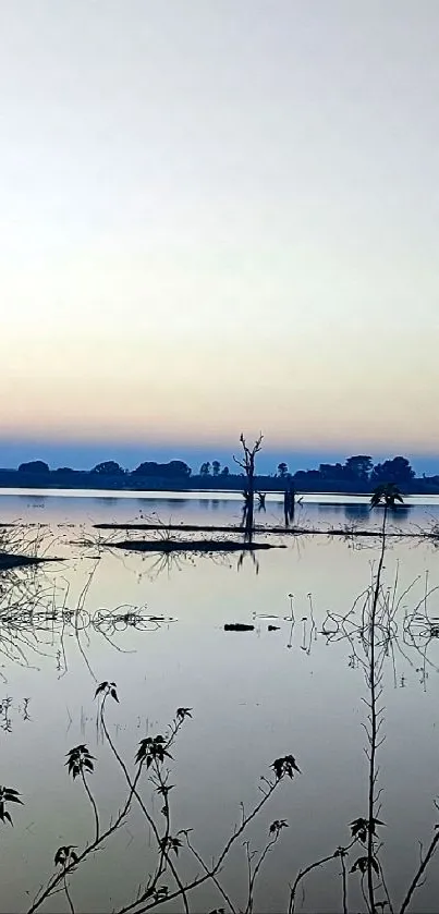 Serene dawn landscape with a lake and soft blue sky reflections.