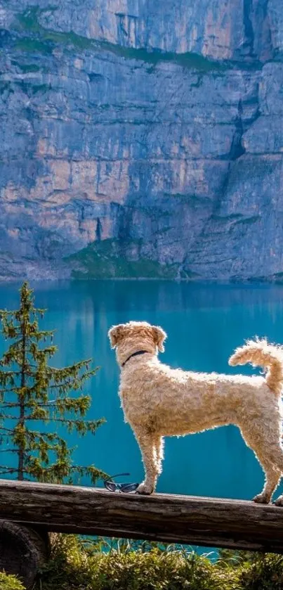 A dog stands on a log viewing a turquoise lake against cliffs.