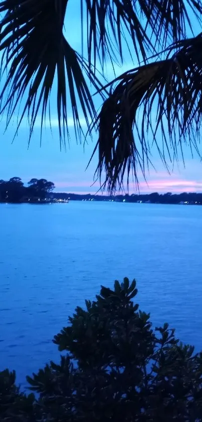 Serene lakeside view with a palm tree and blue sunset sky.