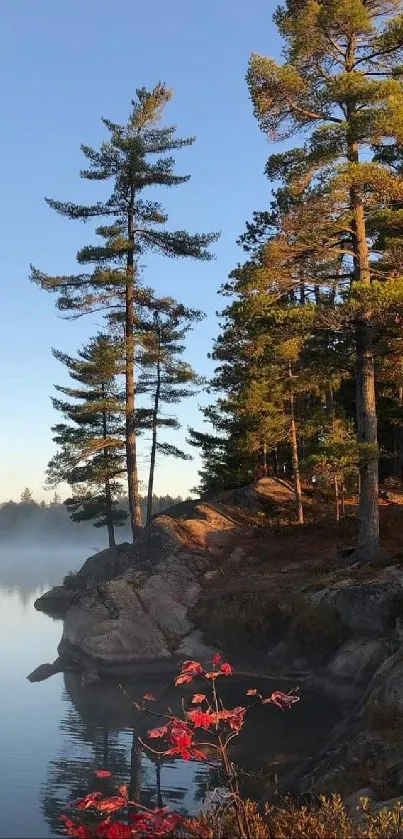 Serene lakeside forest with calm water reflecting the morning light.