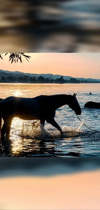 Horse strolling in a serene lakeside setting at sunrise.