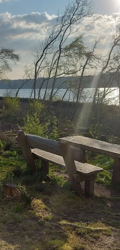 Lakeside picnic scene with sunlight and trees.