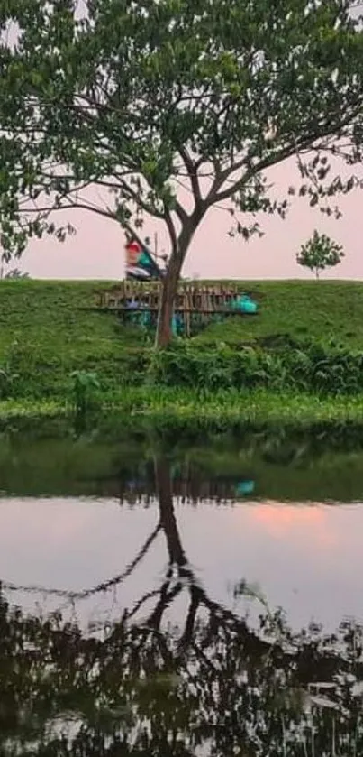 Tree reflection on tranquil lake with lush green surroundings.