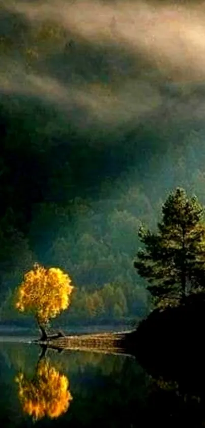 Tranquil lakeside scene with tree reflection.