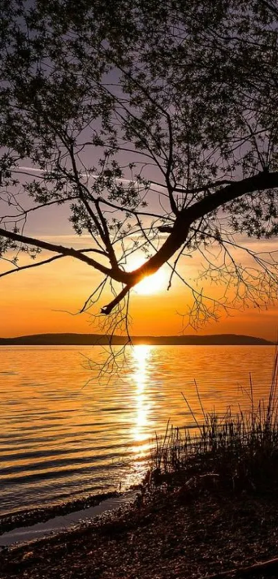 Silhouetted branches over a lakeside sunset with orange reflections.