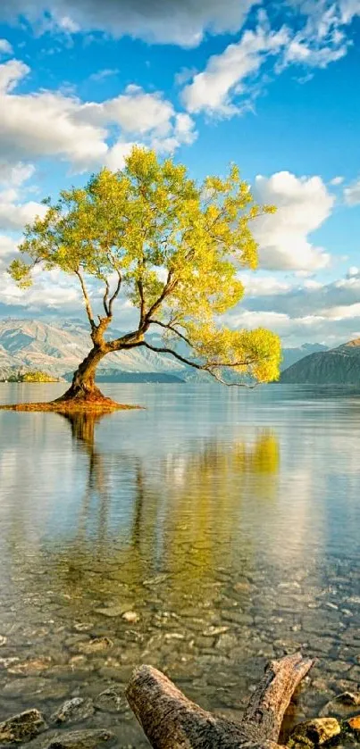 Serene tree by a lake under a blue sky with mountain backdrop.