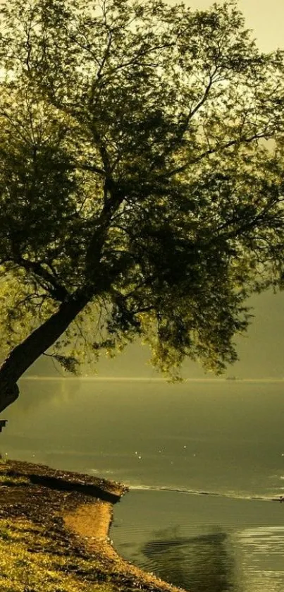 Lakeside tree with calm water and ducks in serene green light.