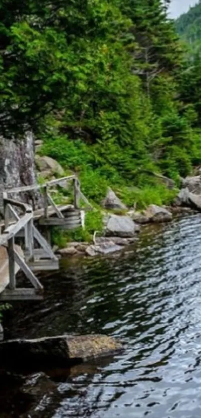 Scenic lakeside wooden path with lush greenery.