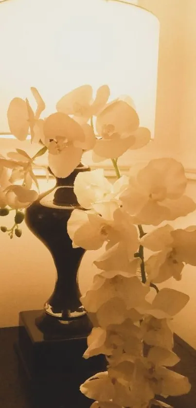 Warm-lit lamp with cascading white orchids.