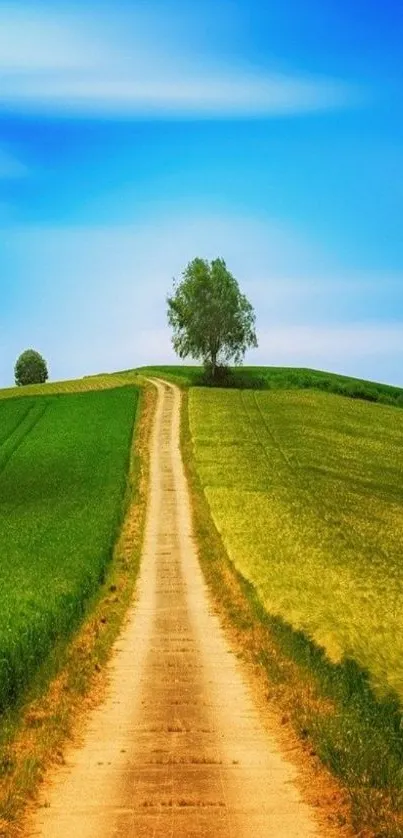 Serene landscape with a tree on a green hill under a blue sky.