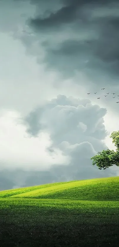 Tranquil landscape of a green field with a tree and cloudy sky.