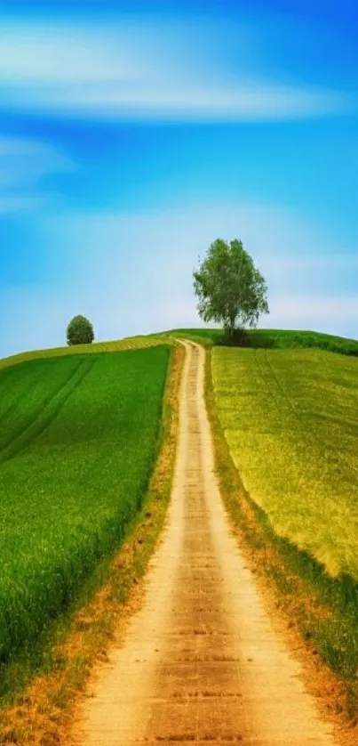 Serene path through green fields under a bright blue sky wallpaper.