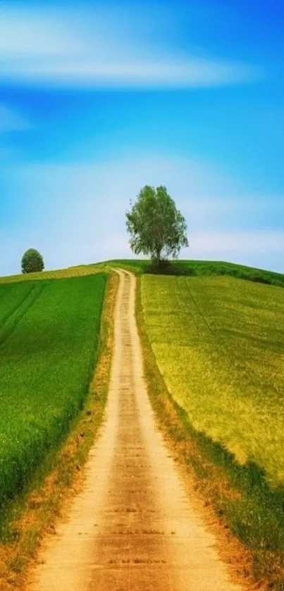 Dirt path through green hills under a blue sky.