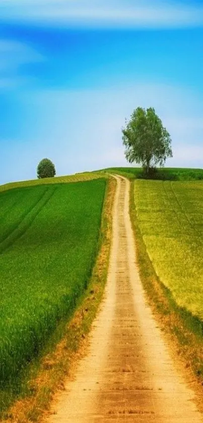 Scenic wallpaper with a path through green hills under a blue sky.