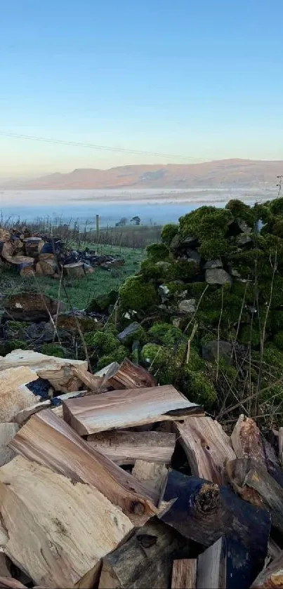 Rustic firewood with scenic countryside view.