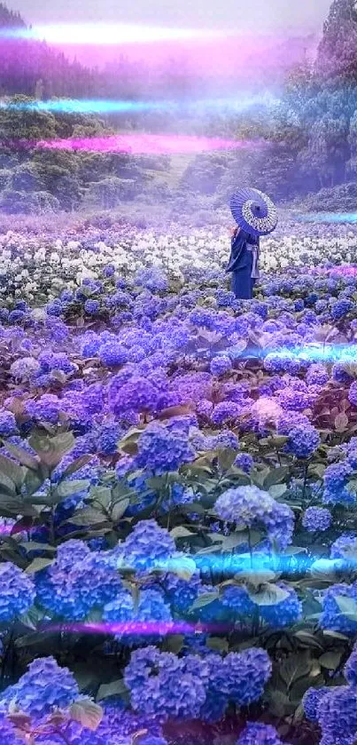 A person with an umbrella in a lavender hydrangea field and misty mountains.